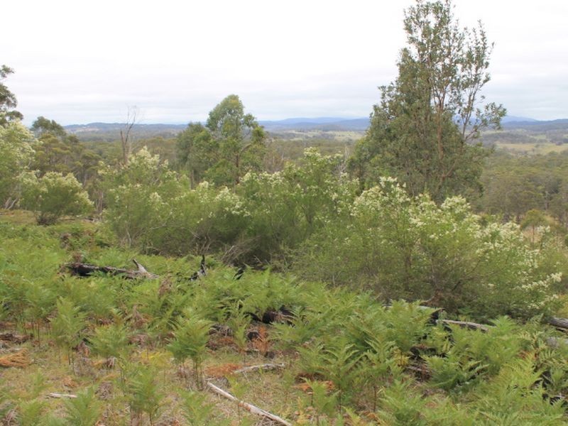 1/174 Watsons Road, Glen Innes NSW 2370