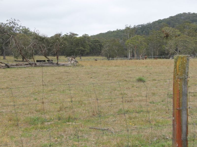 1/174 Watsons Road, Glen Innes NSW 2370