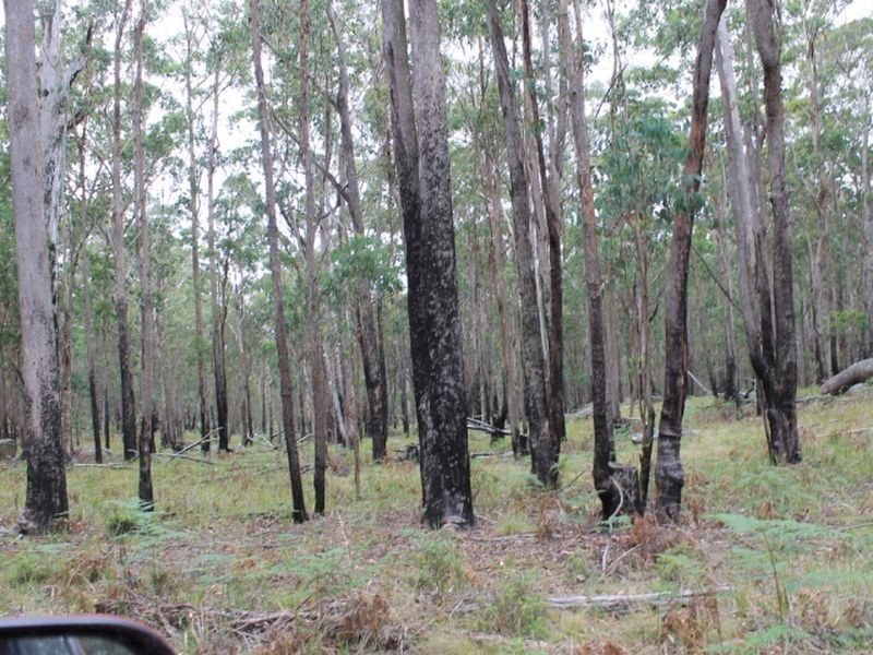 1/174 Watsons Road, Glen Innes NSW 2370