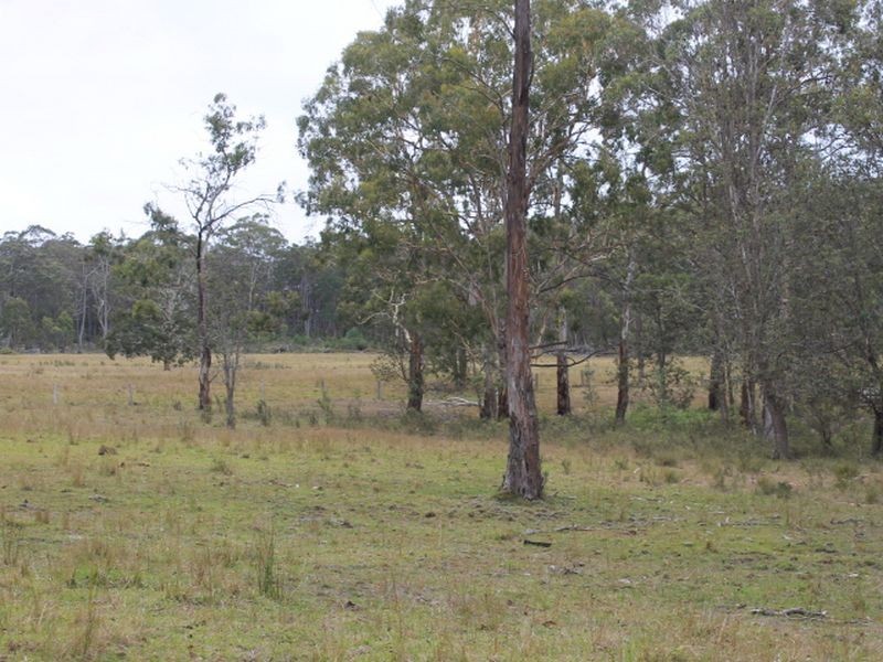 1/174 Watsons Road, Glen Innes NSW 2370