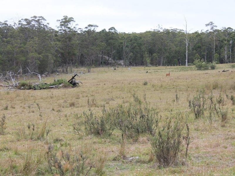 1/174 Watsons Road, Glen Innes NSW 2370