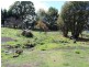 12 Moredun Road, Ben Lomond NSW 2365