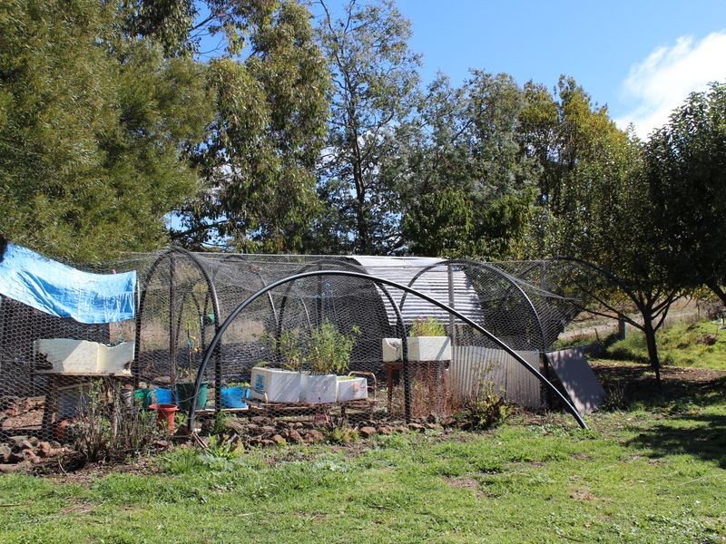 12 Moredun Road, Ben Lomond NSW 2365