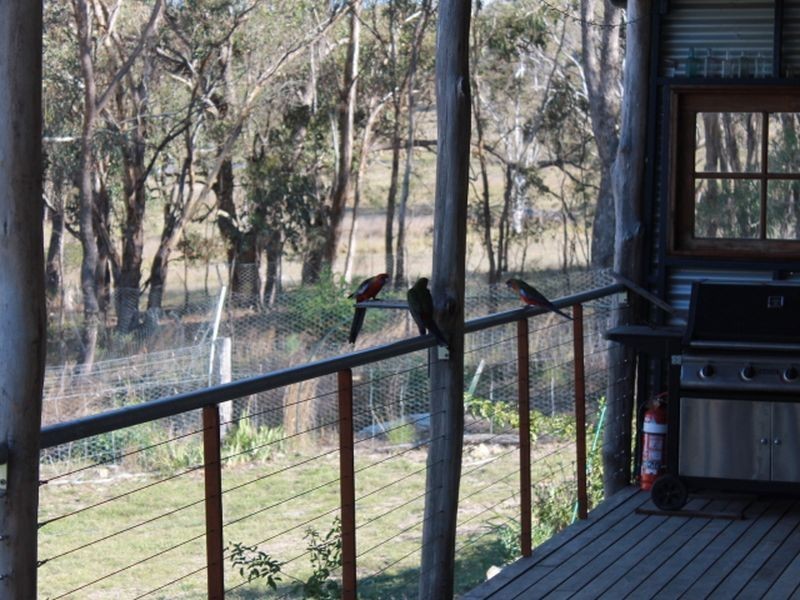 4668 Tent Hill Road, Emmaville NSW 2371
