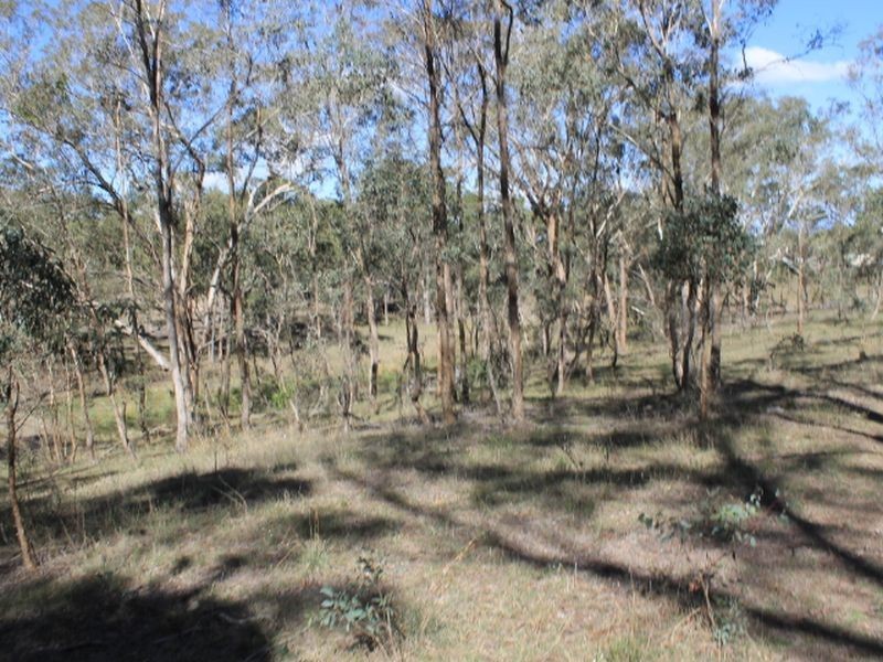4668 Tent Hill Road, Emmaville NSW 2371