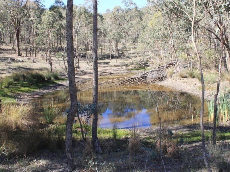 4668 Tent Hill Road, Emmaville NSW 2371