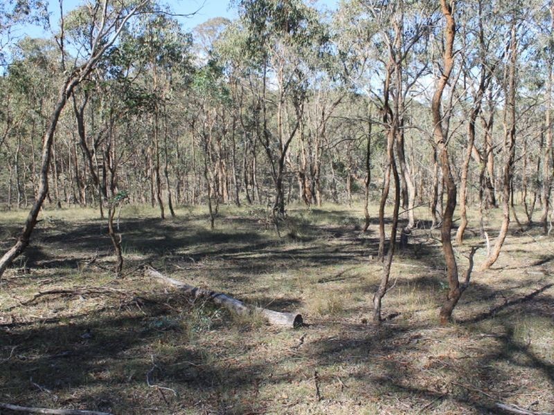 4668 Tent Hill Road, Emmaville NSW 2371