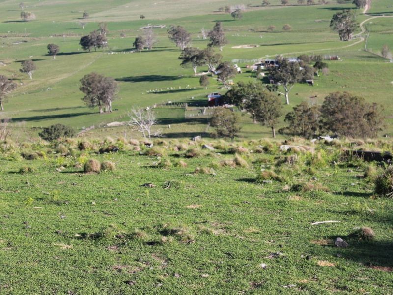 1783 Tablelands Rd, Glen Innes NSW 2370