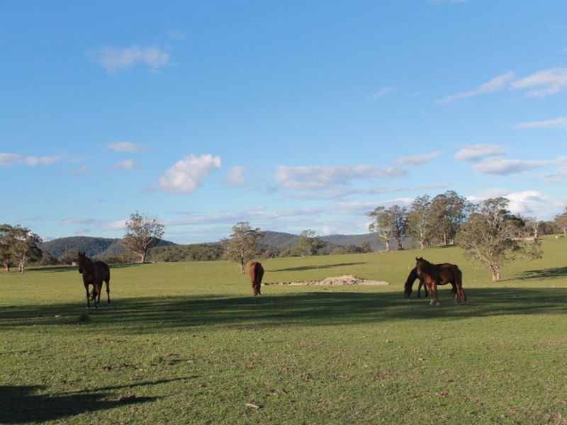 1783 Tablelands Rd, Glen Innes NSW 2370