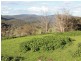 1783 Tablelands Rd, Glen Innes NSW 2370