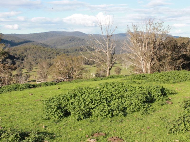 1783 Tablelands Rd, Glen Innes NSW 2370