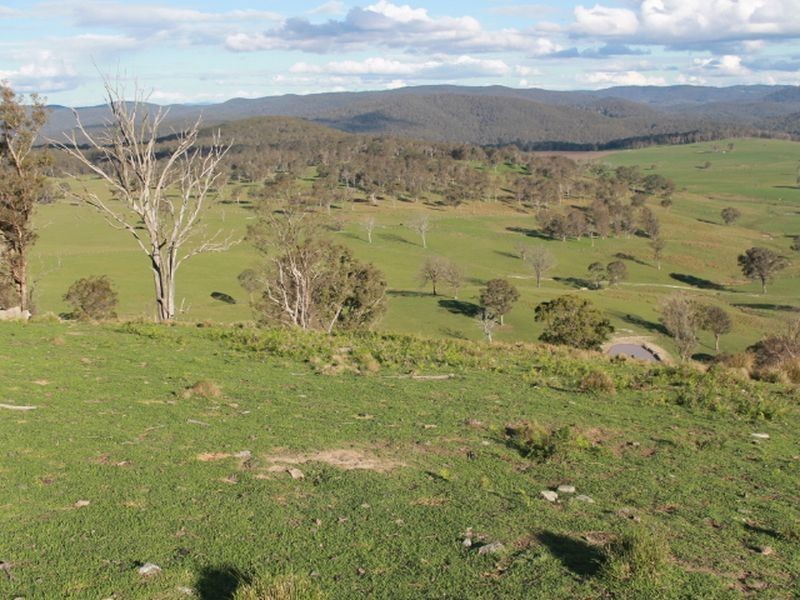 1783 Tablelands Rd, Glen Innes NSW 2370