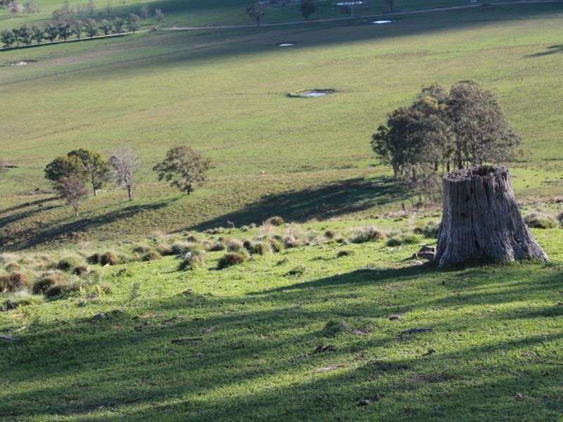 1783 Tablelands Rd, Glen Innes NSW 2370