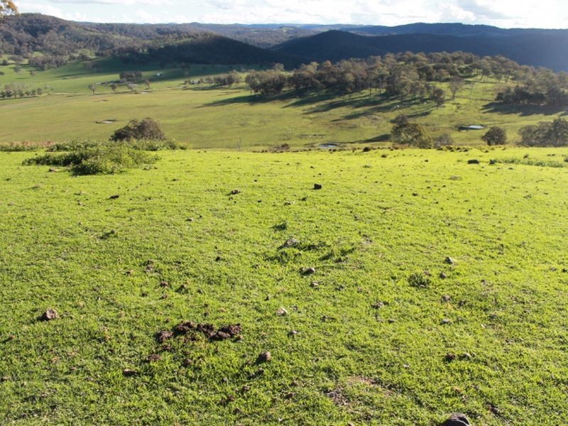 1783 Tablelands Rd, Glen Innes NSW 2370