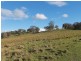 1783 Tablelands Rd, Glen Innes NSW 2370