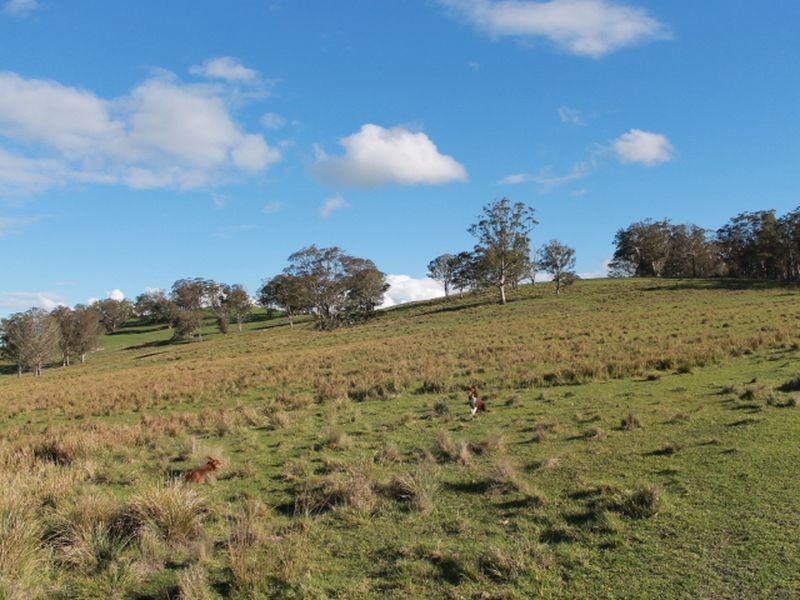 1783 Tablelands Rd, Glen Innes NSW 2370
