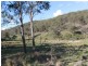 1783 Tablelands Rd, Glen Innes NSW 2370