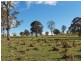 1783 Tablelands Rd, Glen Innes NSW 2370