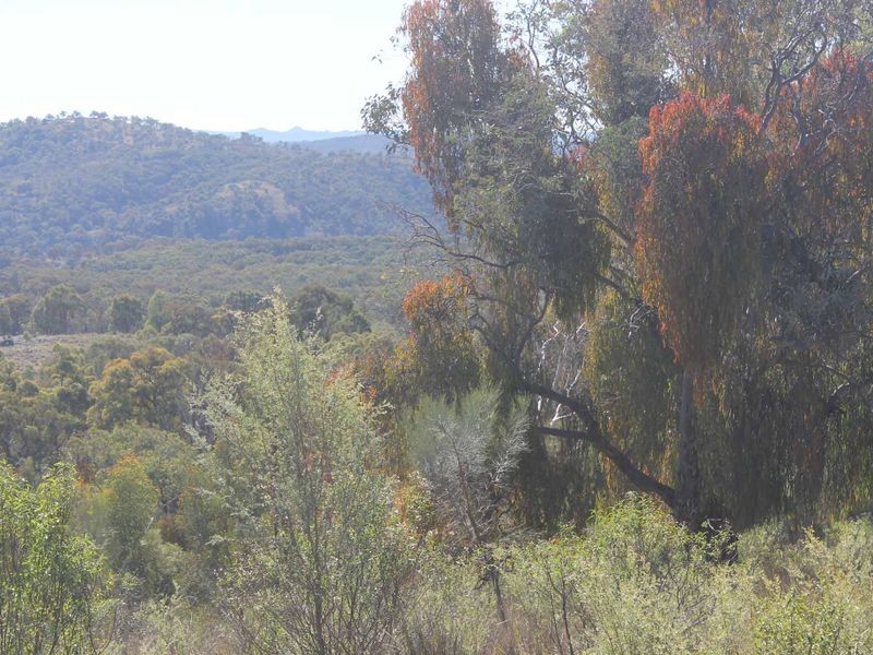 25 Arnolds Road, Glen Innes NSW 2370