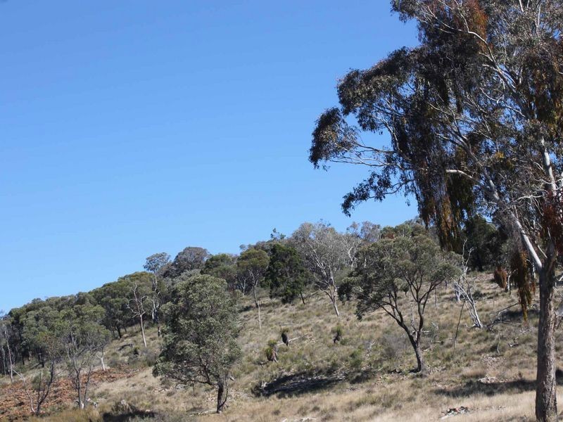 25 Arnolds Road, Glen Innes NSW 2370