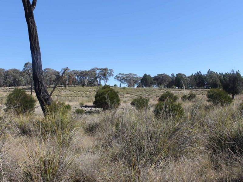 25 Arnolds Road, Glen Innes NSW 2370