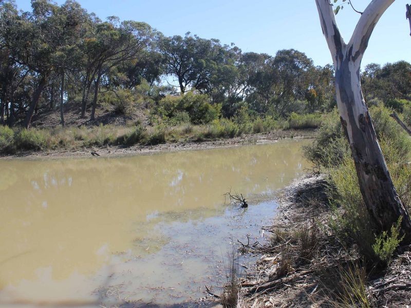 25 Arnolds Road, Glen Innes NSW 2370