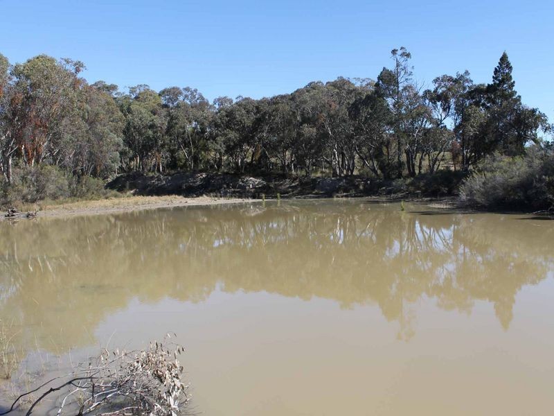 25 Arnolds Road, Glen Innes NSW 2370