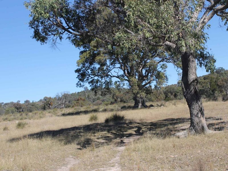 25 Arnolds Road, Glen Innes NSW 2370