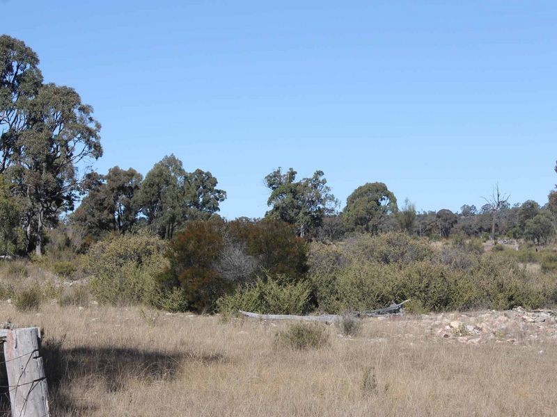 25 Arnolds Road, Glen Innes NSW 2370