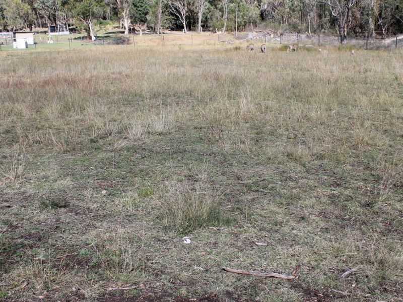 1-7 Cryland Street, Emmaville NSW 2371