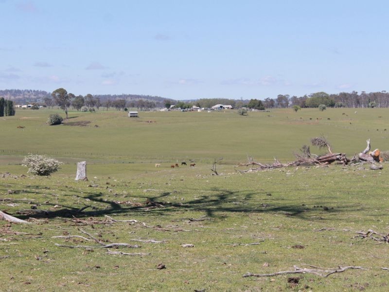 916 Emmaville Rd, Glen Innes NSW 2370