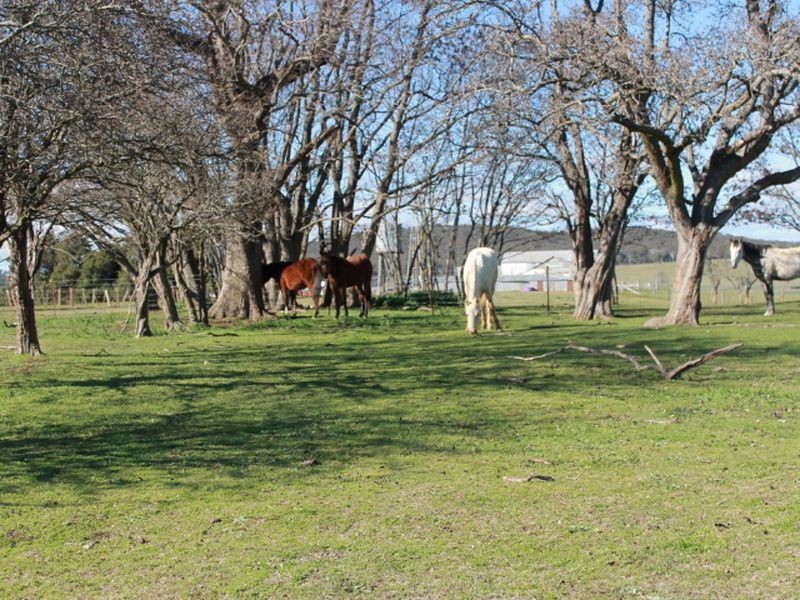 916 Emmaville Rd, Glen Innes NSW 2370