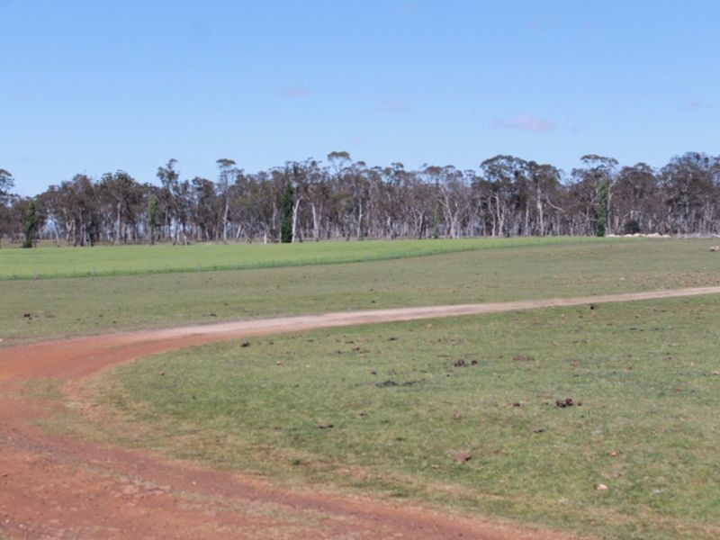 916 Emmaville Rd, Glen Innes NSW 2370