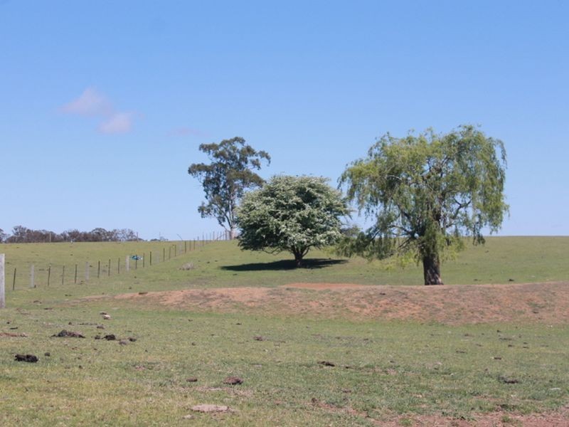 916 Emmaville Rd, Glen Innes NSW 2370