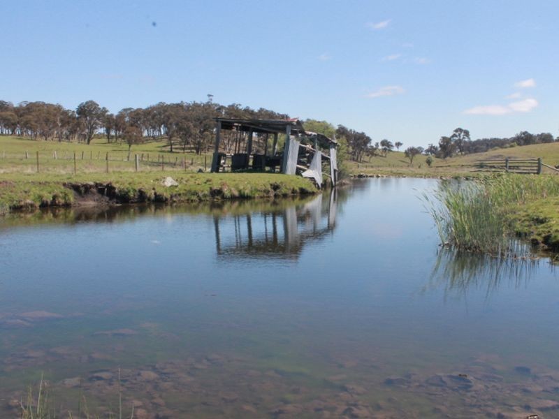 916 Emmaville Rd, Glen Innes NSW 2370