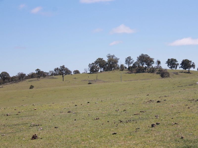 916 Emmaville Rd, Glen Innes NSW 2370