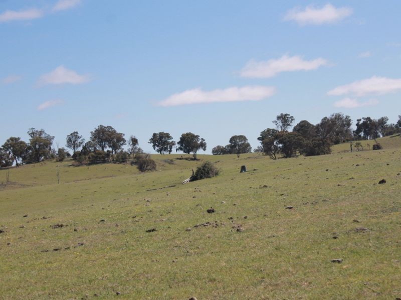 916 Emmaville Rd, Glen Innes NSW 2370