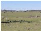 916 Emmaville Rd, Glen Innes NSW 2370