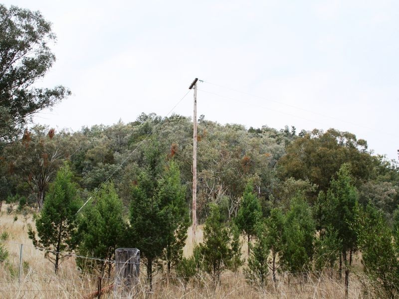 9/786586 Rocky Creek Road, Bonshaw NSW 2361