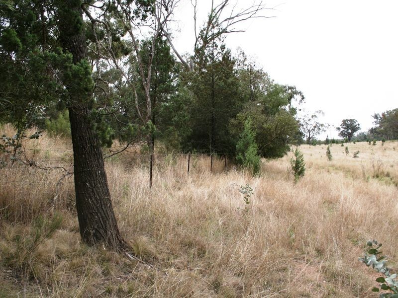 9/786586 Rocky Creek Road, Bonshaw NSW 2361