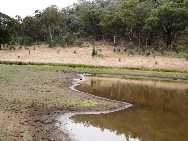 9/786586 Rocky Creek Road, Bonshaw NSW 2361