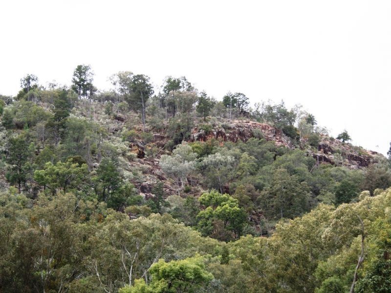 9/786586 Rocky Creek Road, Bonshaw NSW 2361