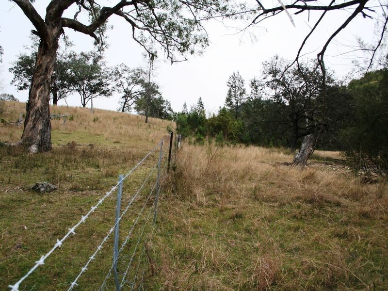 9/786586 Rocky Creek Road, Bonshaw NSW 2361