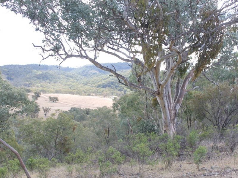 Lot 18 Gulf  Road, Emmaville NSW 2371