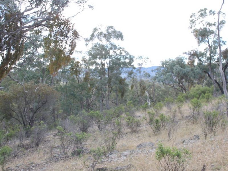 Lot 18 Gulf  Road, Emmaville NSW 2371