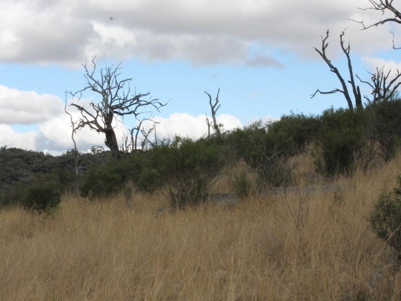 Lot 18 Gulf  Road, Emmaville NSW 2371