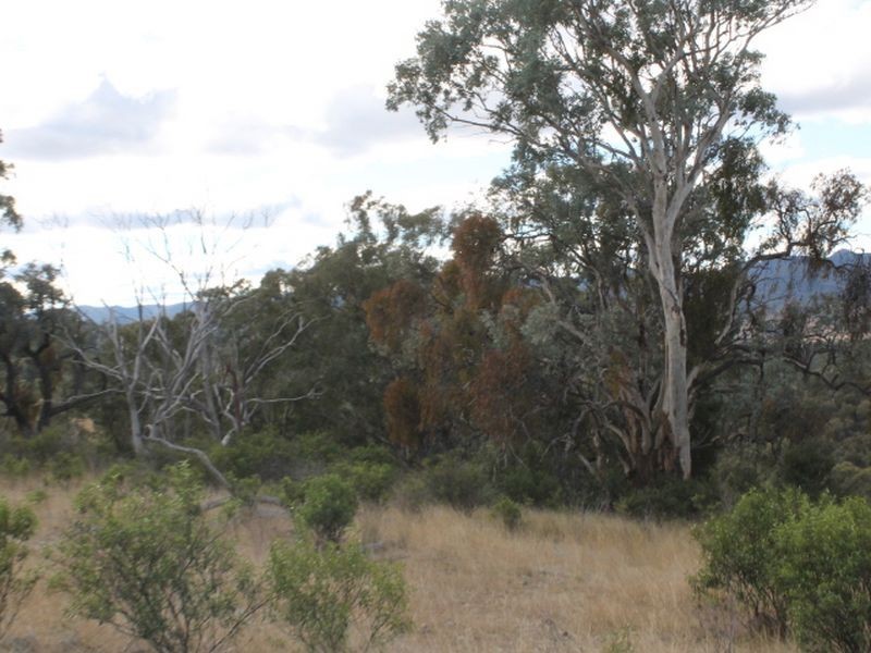 Lot 18 Gulf  Road, Emmaville NSW 2371
