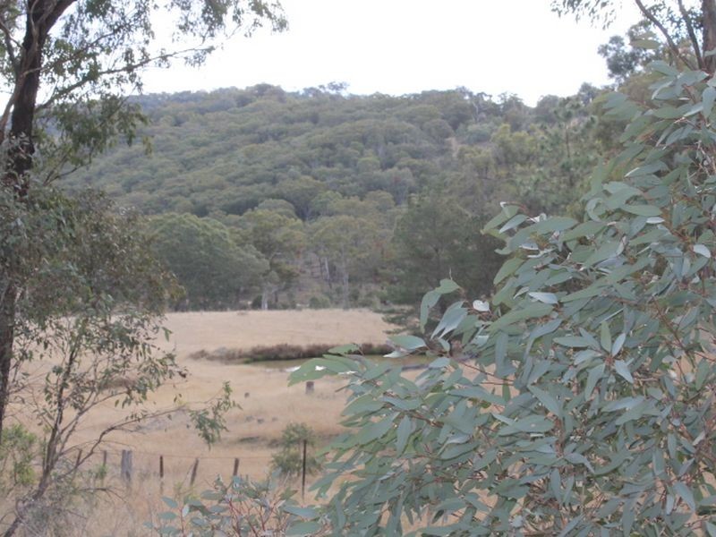 Lot 18 Gulf  Road, Emmaville NSW 2371