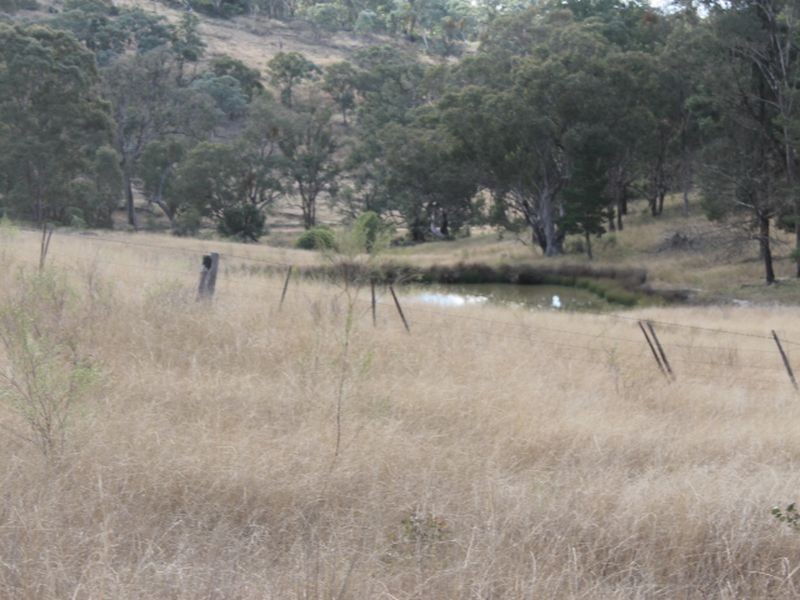 Lot 18 Gulf  Road, Emmaville NSW 2371