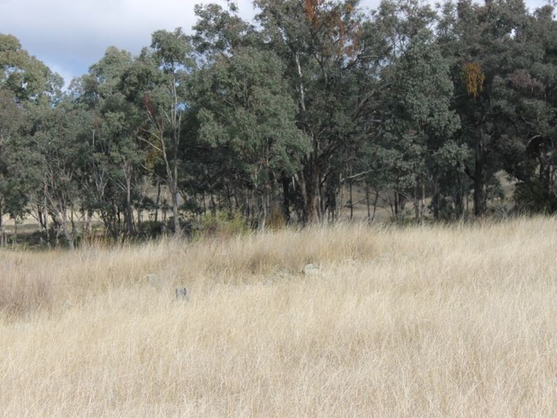 Lot 18 Gulf  Road, Emmaville NSW 2371